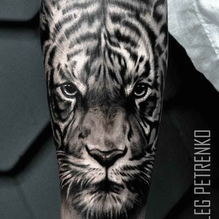 tatouage #16367 | Artiste tatoueur Petrenko Oleg