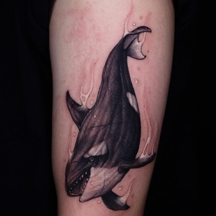 tatouage #46658 | Artiste tatoueur Swan Tattooer