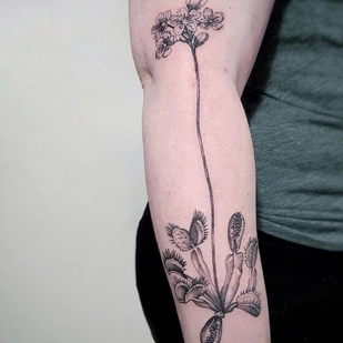 tatouage #47405 | Artiste tatoueur Aija May