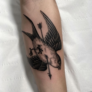 tatouage #47797 | Artiste tatoueur Cedric Maquin