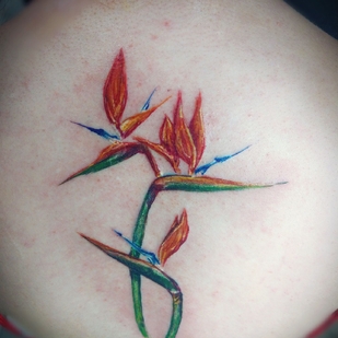 tatouage #35100 | Artiste tatoueur Zhesik Batanist