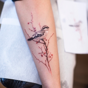 Femme Couleur  tatouage sur Avant-bras #51946 | Artiste tatoueur Franky Yang