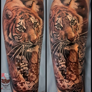 tatouage #7906 | Artiste tatoueur Aleksandr Sigal Romashev