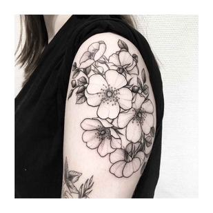 tatouage #17532 | Artiste tatoueur Vlada Shevchenko