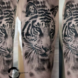 tatouage #18488 | Artiste tatoueur Smolaykin Andrey Aleksandrovich