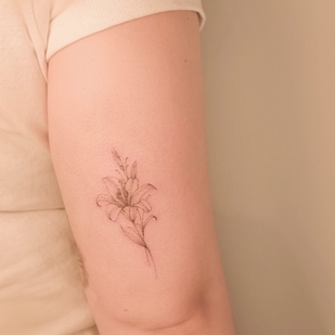 tatouage #66579 | Artiste tatoueur dashatattooer