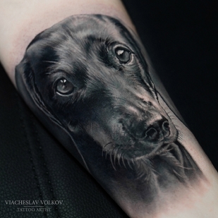 tatouage #67097 | Artiste tatoueur Vyacheslav Volkov