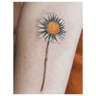 tatouage #67389 | Artiste tatoueur Renato Lombardi