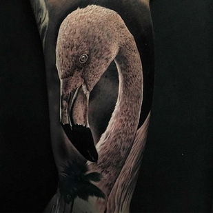 tatouage #20870 | Artiste tatoueur Jacob Sheffield