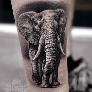 tatouage #1247 | Artiste tatoueur Javier Antunez