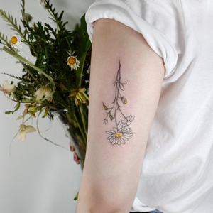 Joo Joo | Seoul, South Korea | iNKPPL
