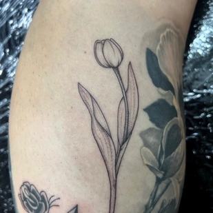 Fineline tatouage #70622 | Artiste tatoueur Claudia Fedorovici