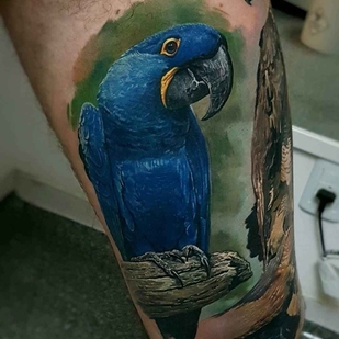 tatouage #11679 | Artiste tatoueur Led Coult