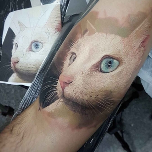 tatouage #11682 | Artiste tatoueur Led Coult