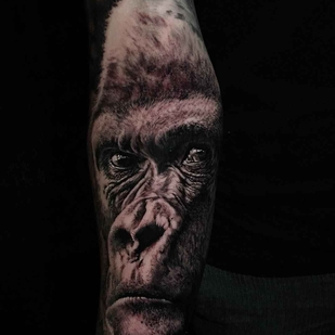 tatouage #11768 | Artiste tatoueur Matt Jordan