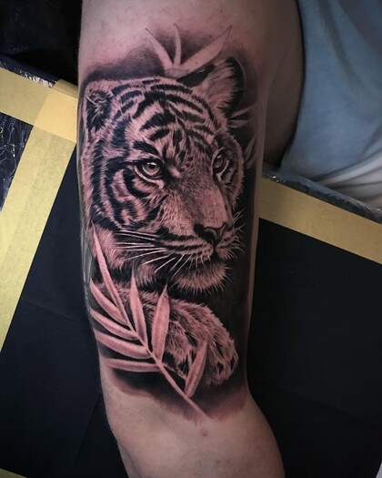 Idées de Tatouage #57992 Artiste tatoueur Sneg Tattoo