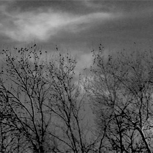 tatouage #72629 | Artiste tatoueur Richard S Ruth