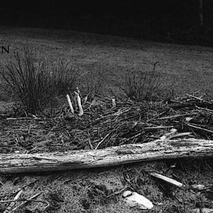 tatouage #72650 | Artiste tatoueur Richard S Ruth