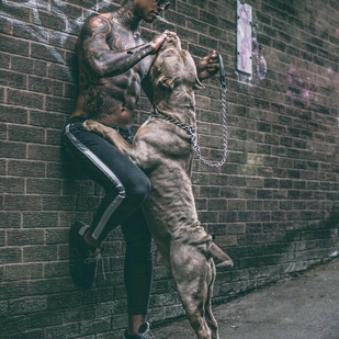 🔥 Photos sexy, portfolio de mannequin  #23905 Modèle de tatouage Tyrone Hermitt