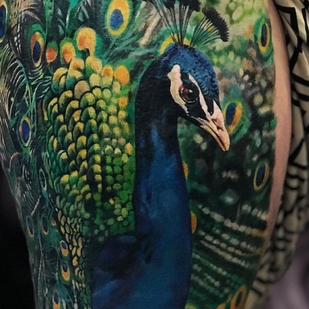 tatouage #23280 | Artiste tatoueur Zhang Po