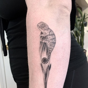 tatouage #41794 | Artiste tatoueur Hernan Giamberardino