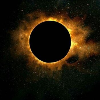 Artiste tatoueur Ellis vanwezer