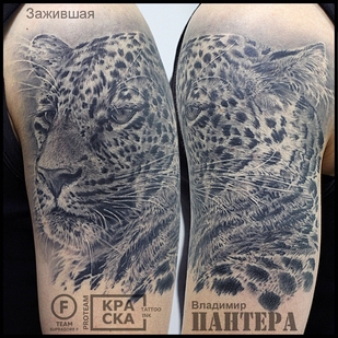 tatouage #32551 | Artiste tatoueur Vladimir PANTERA Korolev