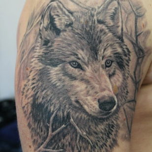 tatouage #58814 | Artiste tatoueur Kuznecov Sergey