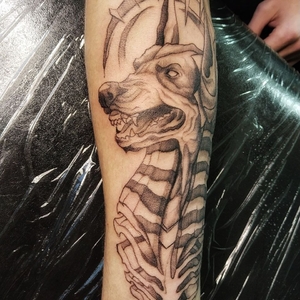 Dariya Yanushkevich  | Красноярск, Russia | iNKPPL