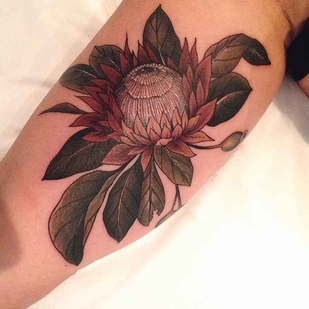 tatouage #3804 | Artiste tatoueur Sophia Baughan