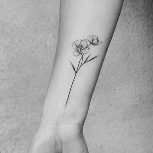 tatouage #14096 | Artiste tatoueur Amanda Piejak