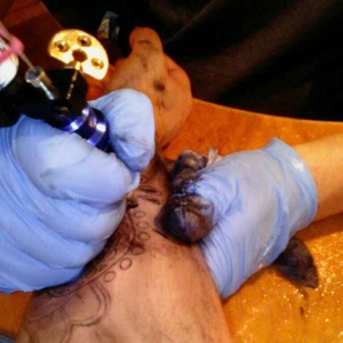 tatouage #14528 | Artiste tatoueur Shelk