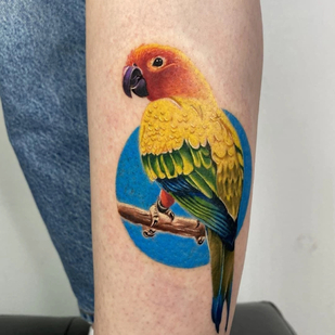 Femme Couleur Réalisme tatouage sur Tibia #82632 | Artiste tatoueur Aleksey Shitov