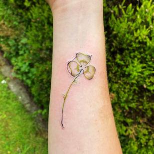 Femme Couleur  tatouage sur Avant-bras #85732 | Artiste tatoueur May