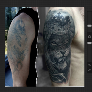 tatouage #85478 | Artiste tatoueur Pětr Framling