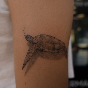 tatouage #88005 | Artiste tatoueur Sasha Hemelaer