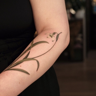 tatouage #95134 | Artiste tatoueur Salvia.ink