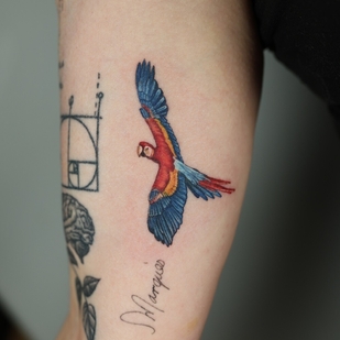 tatouage #103727 | Artiste tatoueur Anastasiia Kravets