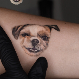 tatouage #92889 | Artiste tatoueur Ekaterina Biyanova