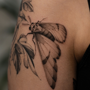 tatouage #102558 | Artiste tatoueur Denis Rozhkov