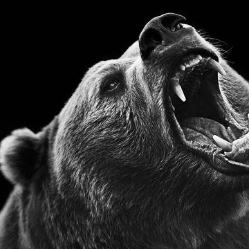 Il tatuaggio del Bear: Un simbolo unico di tenacia e forza