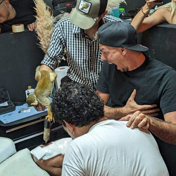 Artista di tatuaggi di monkey - Una nuova esperienza di Funky Matas