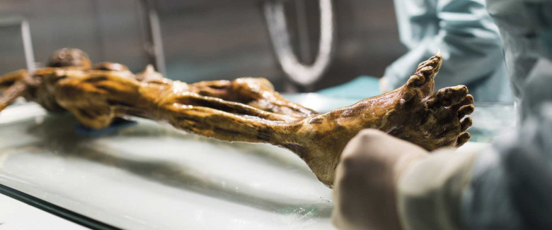 Tatuaggi decorativi trovati su mumie di 5000 anni