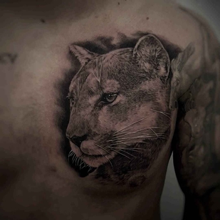 🔥 Foto hot, portfolio modelle  #9274 Tatuatore Csörsz Pèter (Casper)