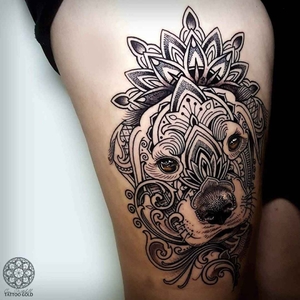 Coen Mitchell, New Zealand | iNKPPL