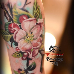 🔥 Foto hot, portfolio modelle  #23369 Tatuatore Yurec Udalec