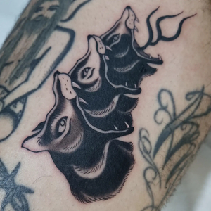 Aivis Kleinhofs Prusis  | Amsterdam, Netherlands | iNKPPL