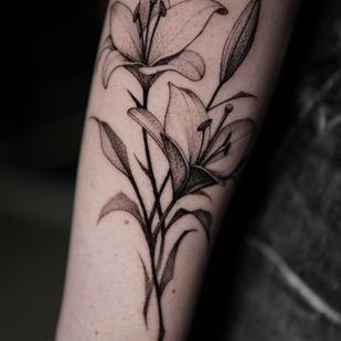 🔥 Foto hot, portfolio modelle  #78566  