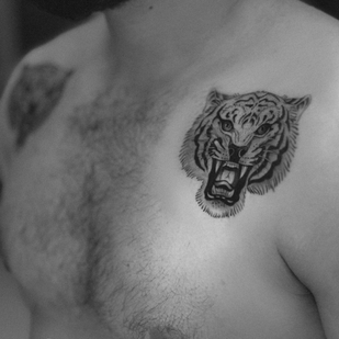 🔥 Foto hot, portfolio modelle  #78596  