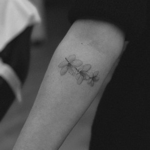 🔥 Foto hot, portfolio modelle  #78604  